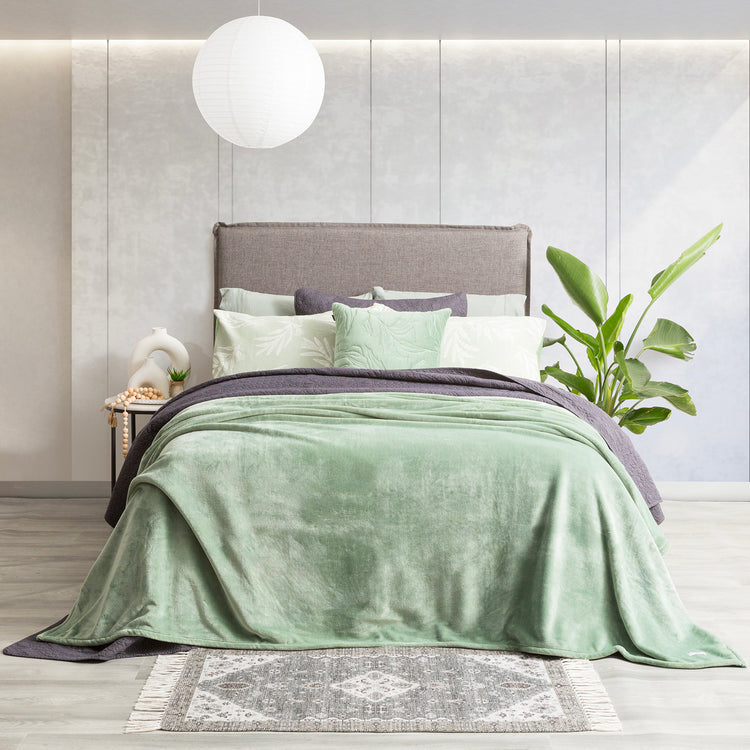 Renee Taylor Plush 380 GSM Ultra Soft Velvet Blanket Eucalyptus