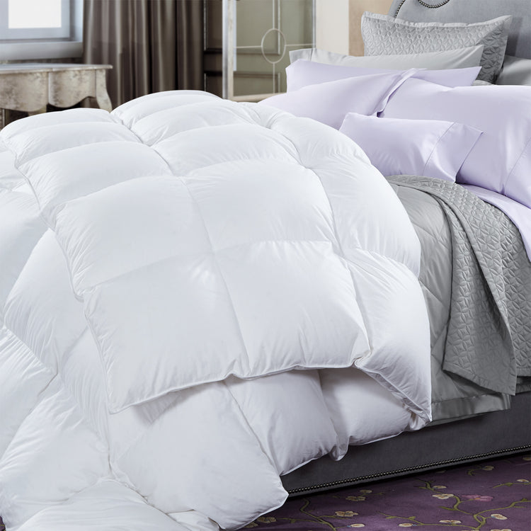 600 GSM All Season Microluxe Quilt with Soft Cover