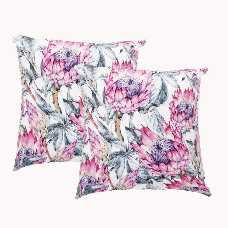 Twin Pack Velvet Cushion Filled 50 x 50 Cms  Protea