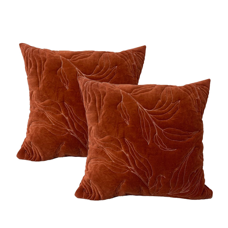 Cotton Velvet Twin Pack Cushions 50 x 50 Cms Sophie Clay